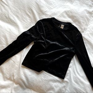 Velvet Cropped Long Sleeve